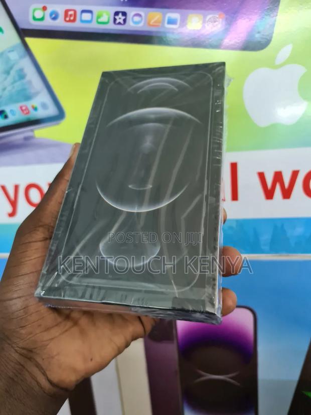 Apple iPhone 12 Pro Max 256 GB Gray - main view