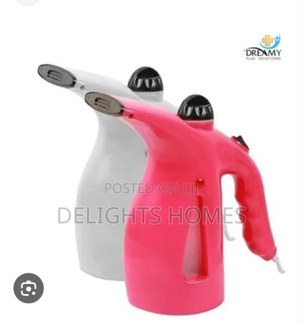 Handheld Garment Facial Steamer_esj