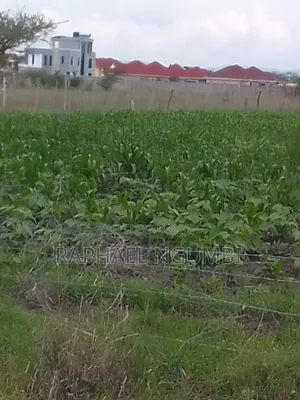 40*80 Plot at Komarock Near Verona Estate