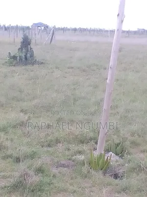 40*80 Plot at Komarock Near Verona Estate
