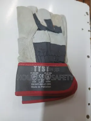 Ttst Leather Gloves