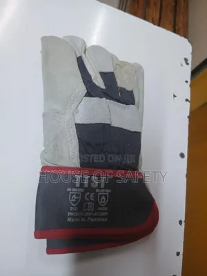 Ttst Leather Gloves