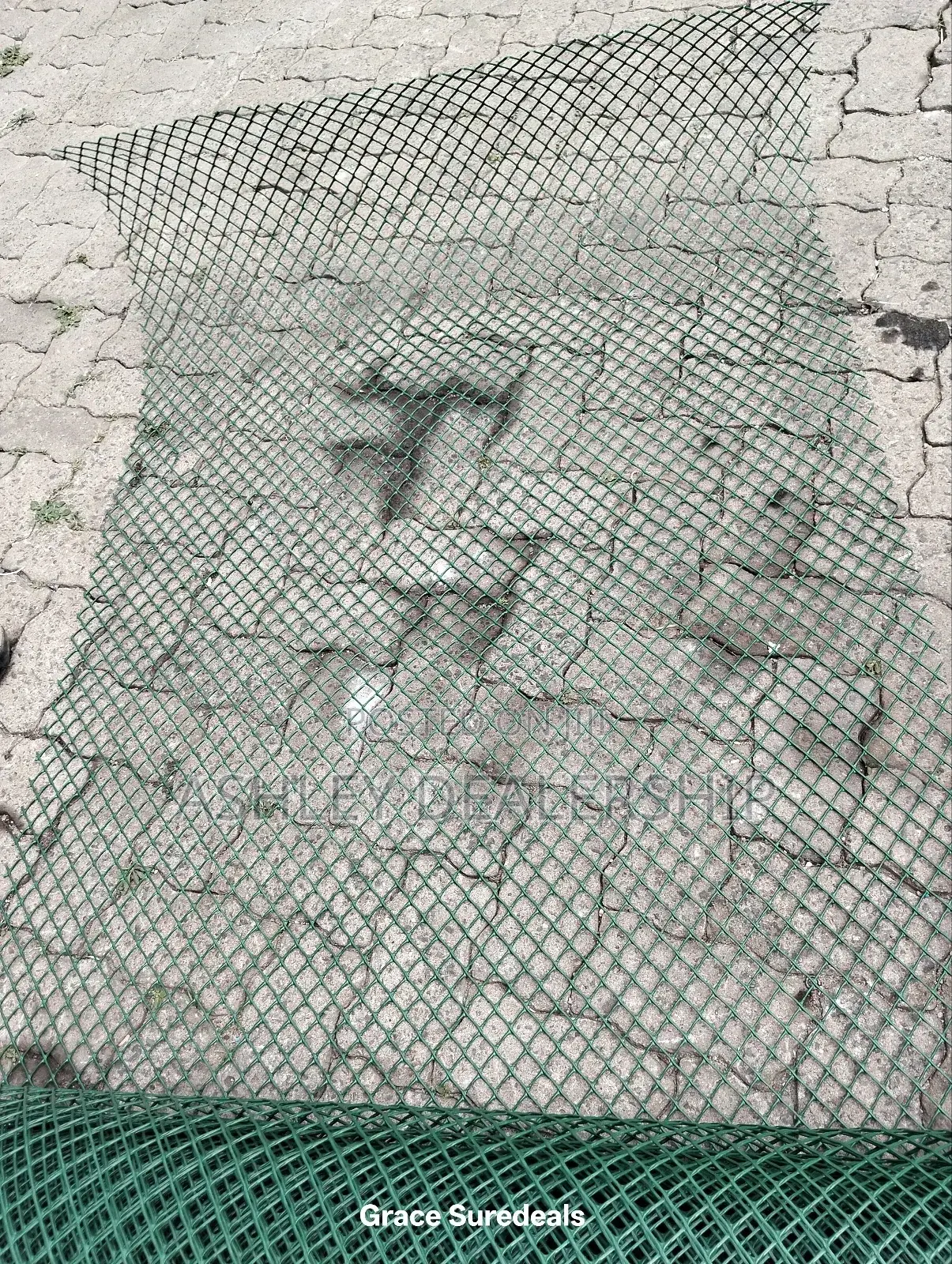 Poultry Net/ Poultry Mesh