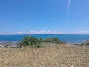 3.3mill Beach Front 50 by 100s - thumbnail 2