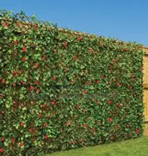 Stretchy Artificial Fence