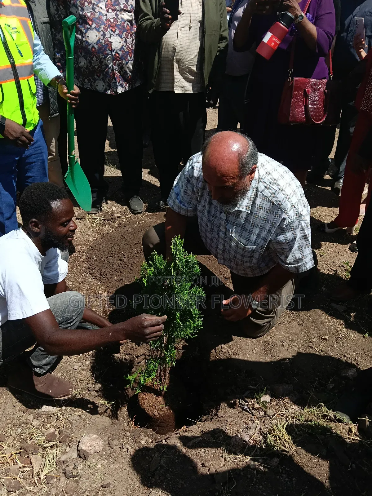 Red Top Soil /Pemba Grass(General Landscaping Solutions )