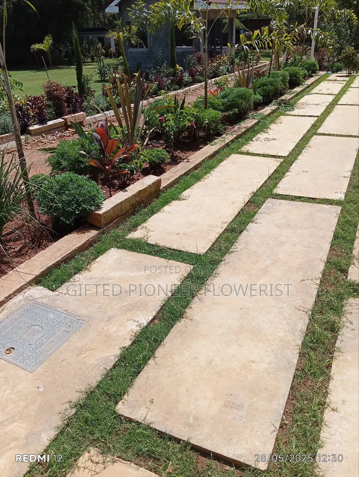 Red Top Soil /Pemba Grass(General Landscaping Solutions )