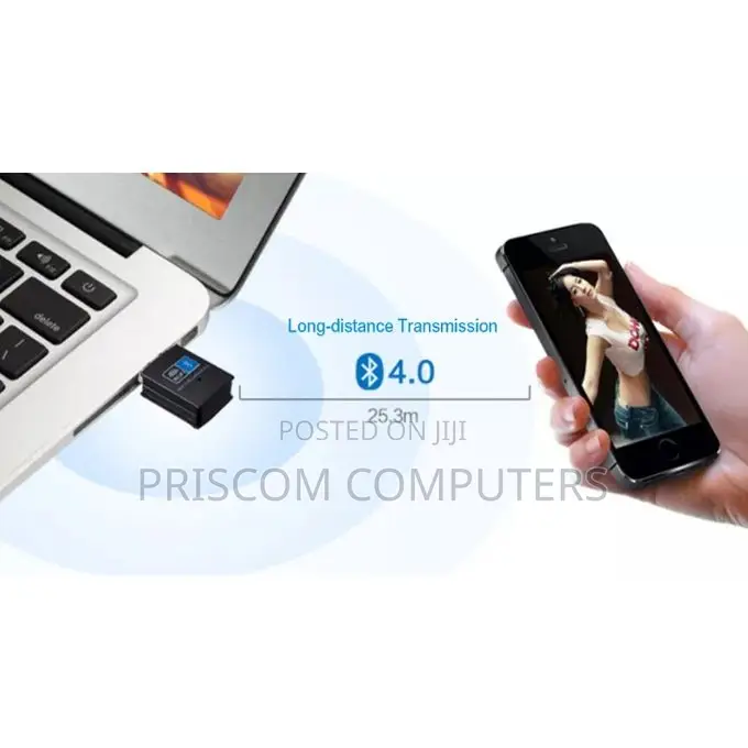 2-in-1 150mbps Wi-Fi Bluetooth 4.0 Dual Mode Usb Adapter