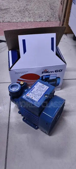 Brand New Pedrolo Water Pump