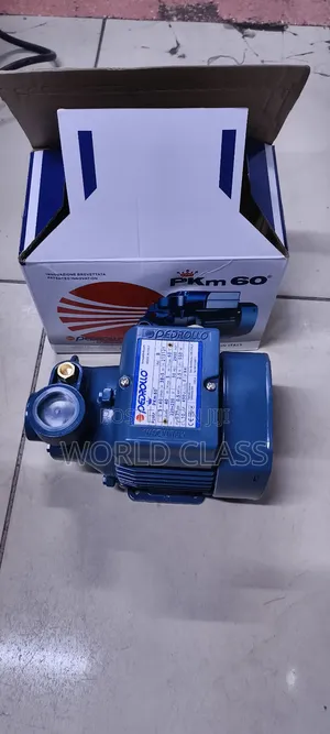 Original 0.5hp Pedrollo Water Pump