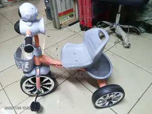 Kids Tricycle With Melody