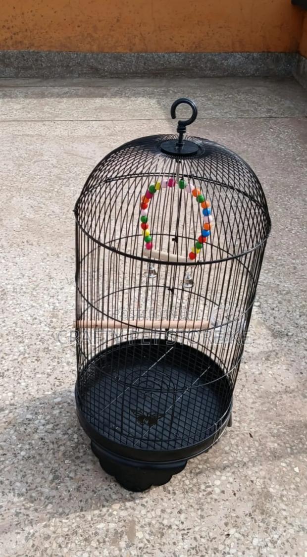 Bird Cages - main view