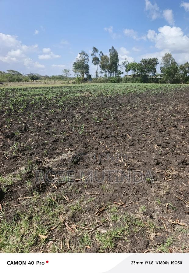 5acres at Kyeleni - main view