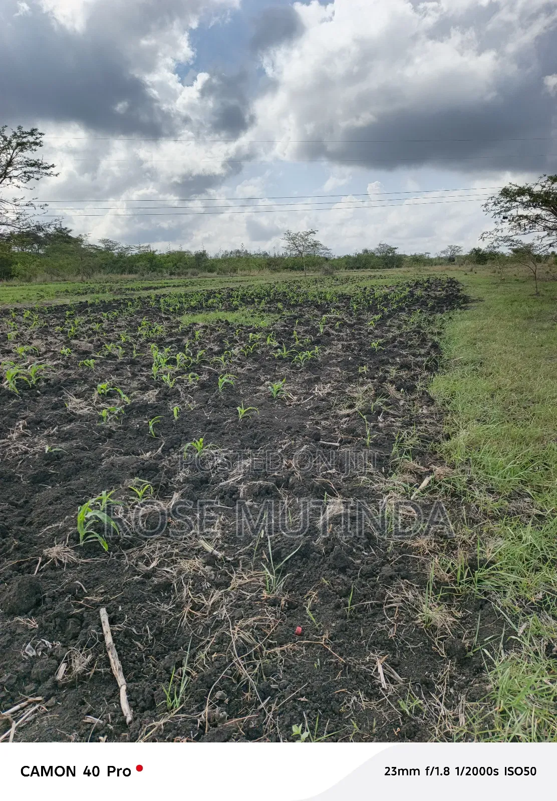 5acres at Kyeleni