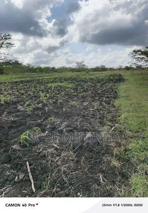 5acres at Kyeleni