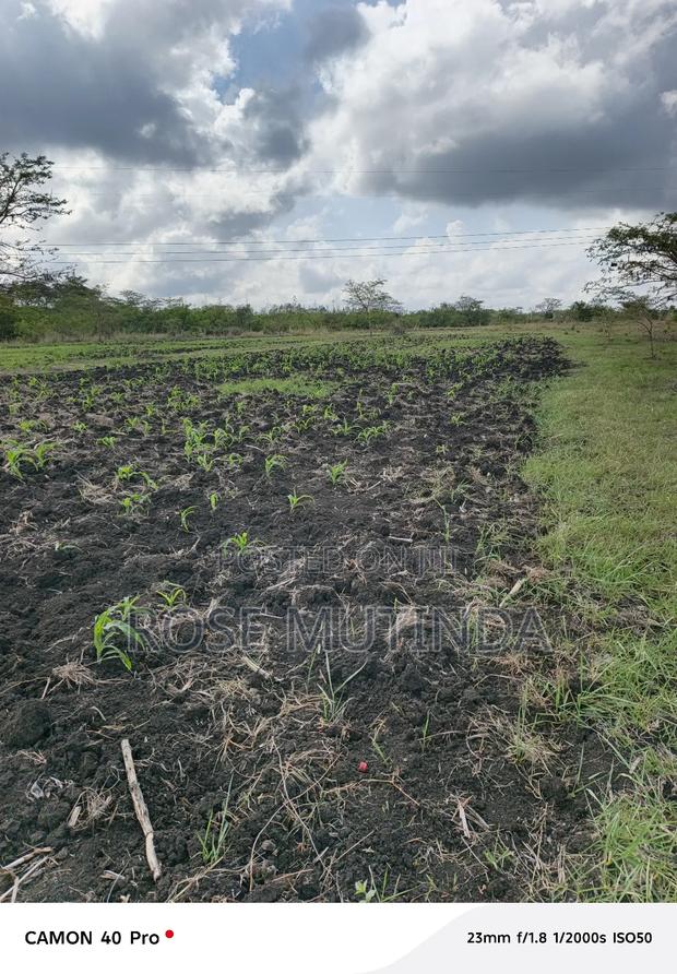 5acres at Kyeleni - thumbnail 4