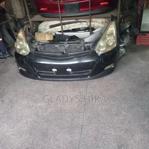Ex Japan Nosecut Wish 2005 Xenon on Sale