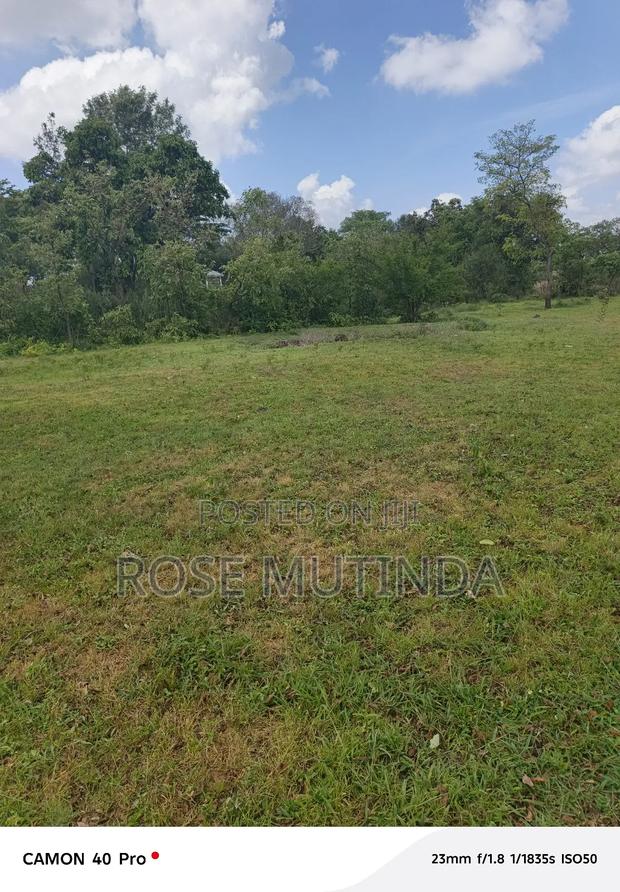 100 by 100 at Kwa Mutula - main view