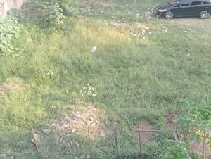 Plot for Sale - thumbnail 2