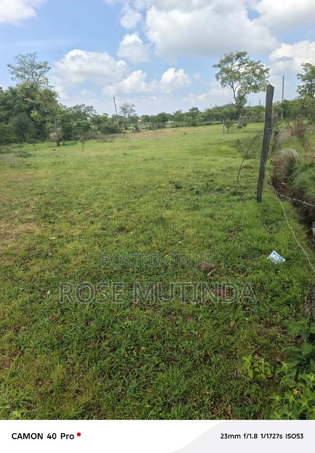 100 by 100 at Kwa Mutula - thumbnail 2