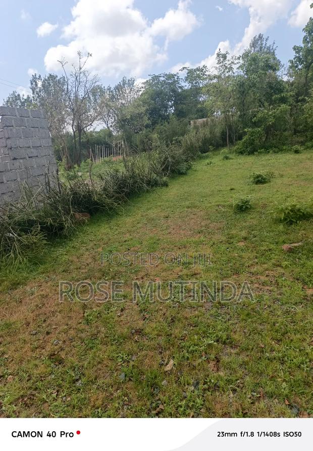 100 by 100 at Kwa Mutula - thumbnail 3