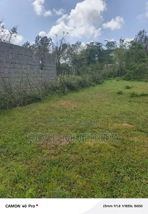 100 by 100 at Kwa Mutula