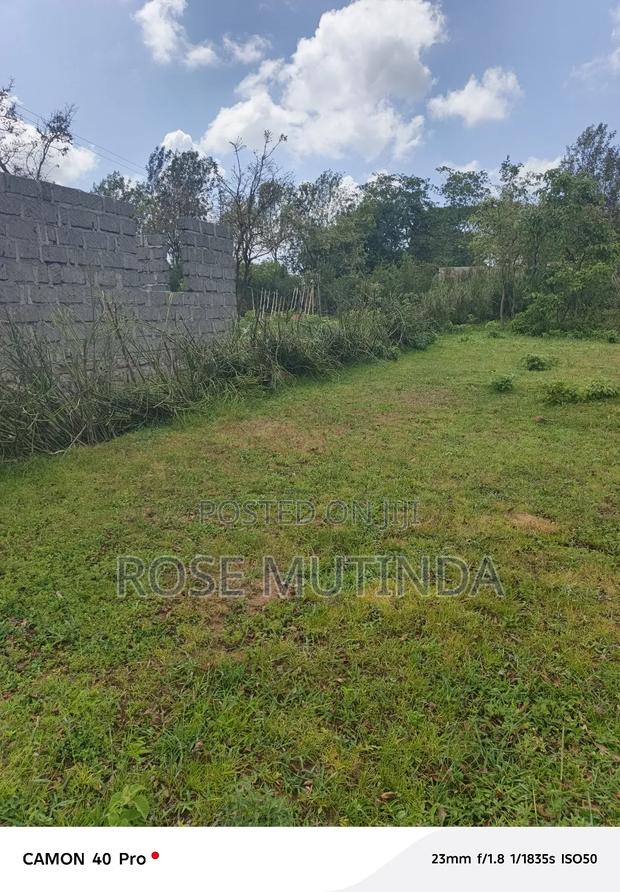 100 by 100 at Kwa Mutula - thumbnail 5