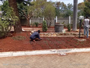 Stone Pitching/Landscapes