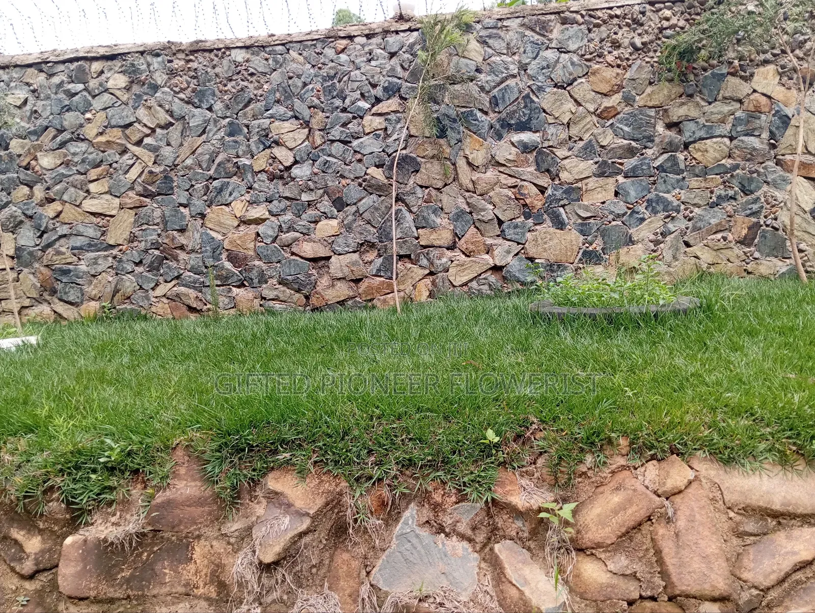 Stone Pitching/Landscapes