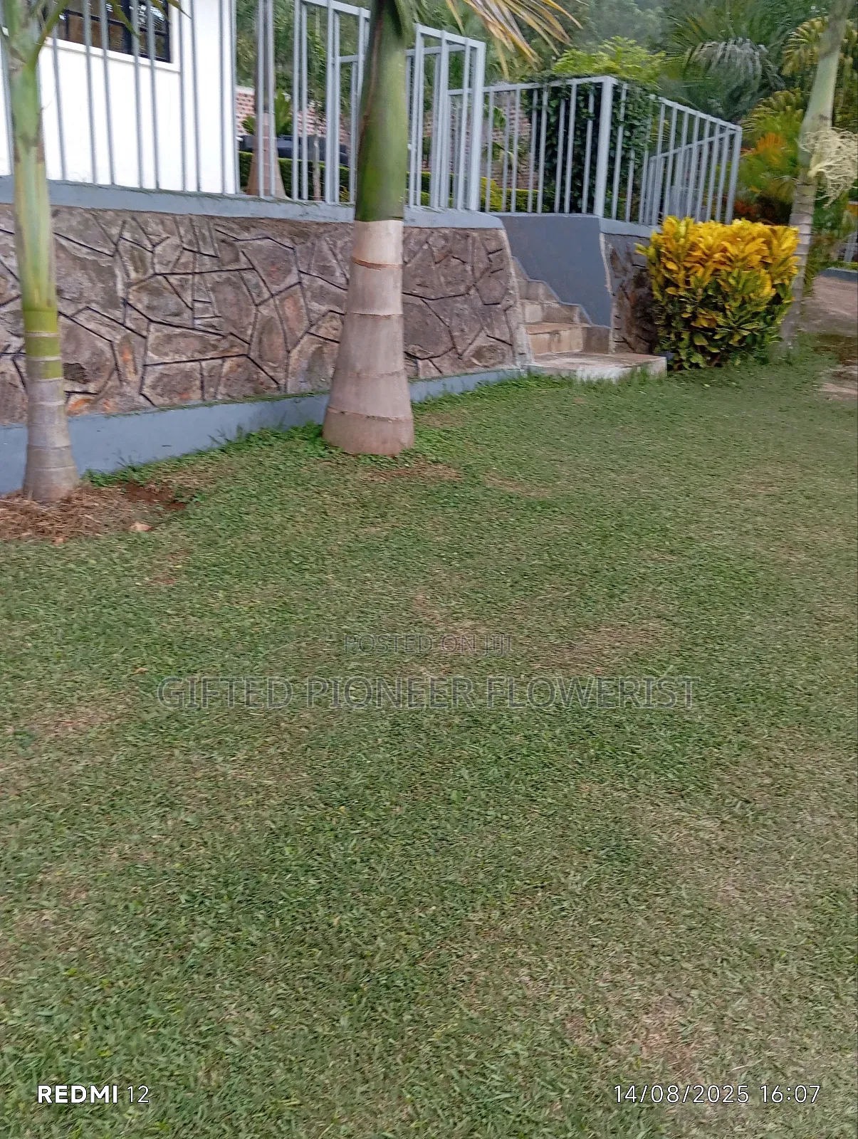 Stone Pitching/Landscapes