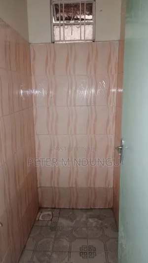 2bdrm Apartment in Roysambu for rent