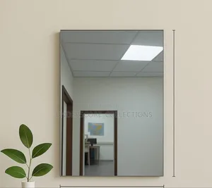 Peel and Stick Unbreakable Mirror*