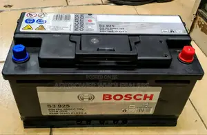Bosch Din 100 Car Battery