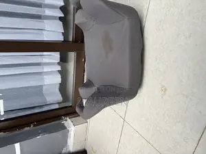 Booster Car Seat