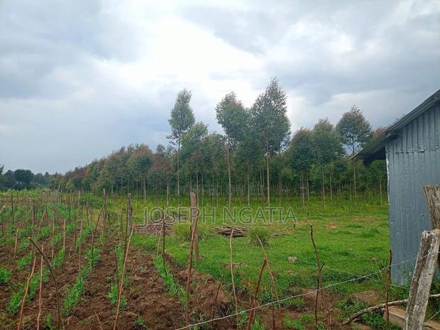 Selling 10 Acres in Kitiri Area - thumbnail 4