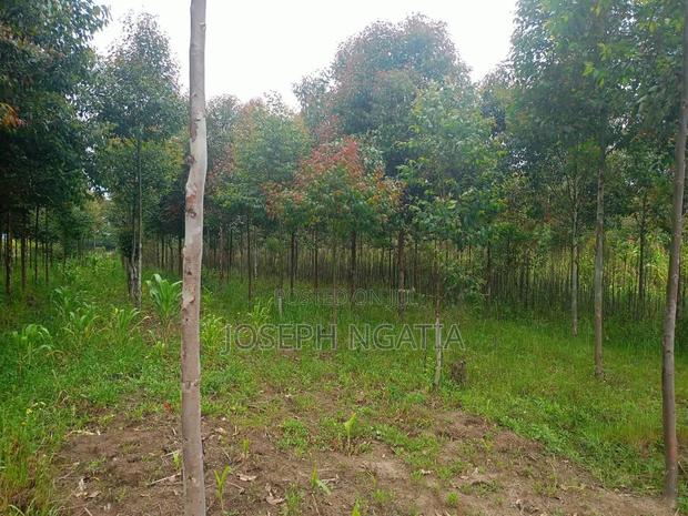 Selling 10 Acres in Kitiri Area - thumbnail 5