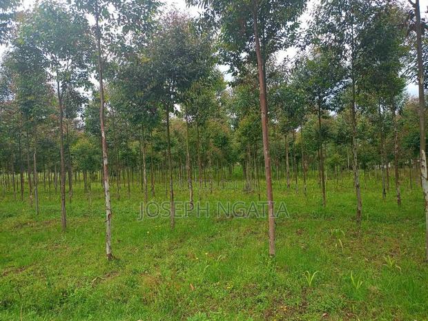 Selling 10 Acres in Kitiri Area - thumbnail 6