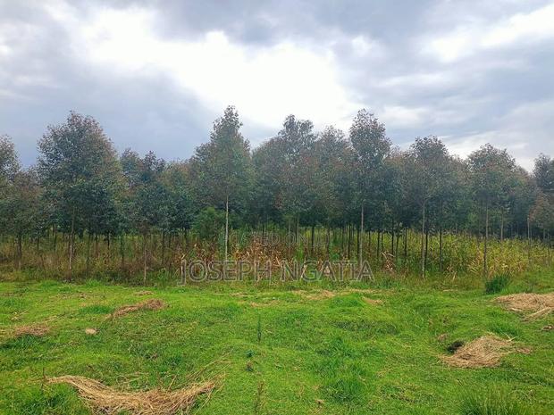 Selling 10 Acres in Kitiri Area - thumbnail 8