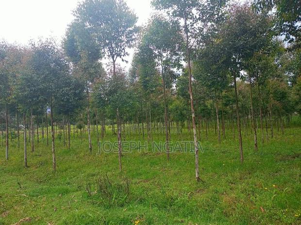 Selling 10 Acres in Kitiri Area - thumbnail 10