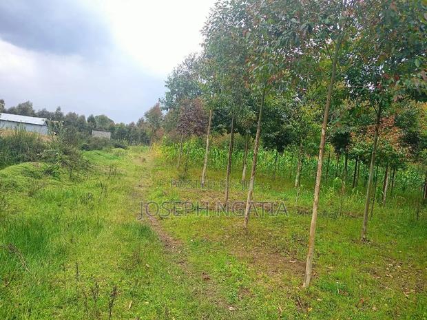 Selling 10 Acres in Kitiri Area - thumbnail 11