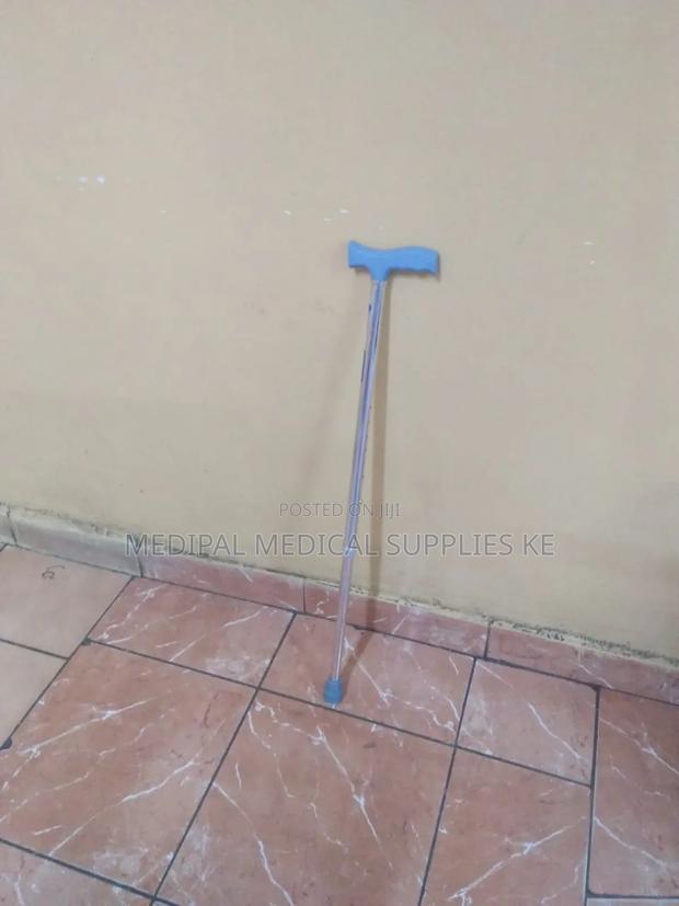 Walking Stick