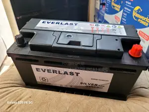 Everlast Din 100 Automotive Battery