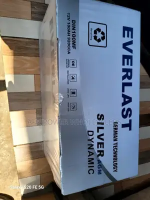 Everlast Din 100 Automotive Battery