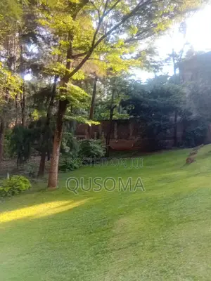  Njumbi 1.25-Acre Redevelopment Goldmine – 8 Km From Cbd! 