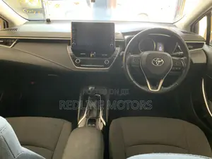 Toyota Corolla LE Eco (1.8L 4cyl 2A) 2019 Silver