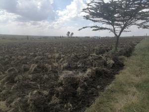 Laikipia 4 Acres - thumbnail 2