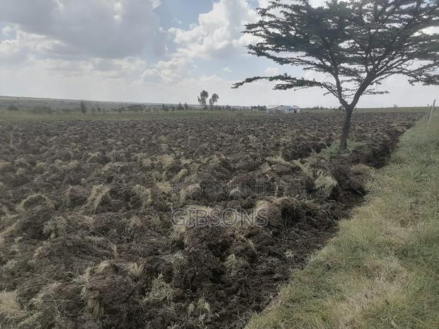 Laikipia 4 Acres - thumbnail 3