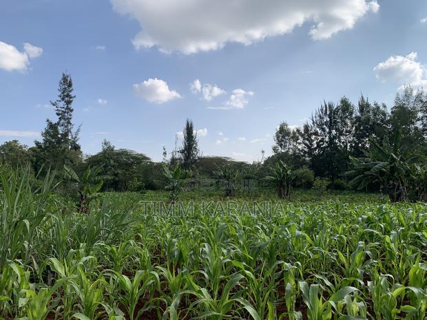 Prime 2.5-Acre Property for Sale - thumbnail 4