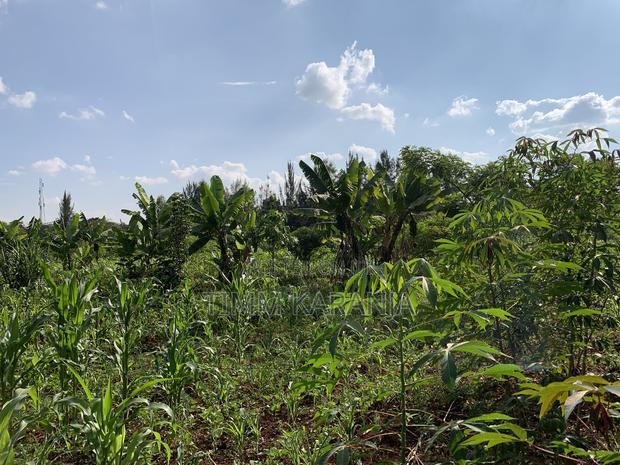 Prime 2.5-Acre Property for Sale - main view