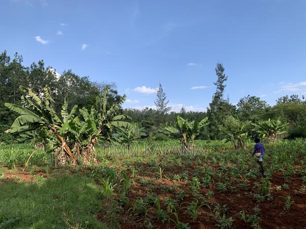 Prime 2.5-Acre Property for Sale - thumbnail 5